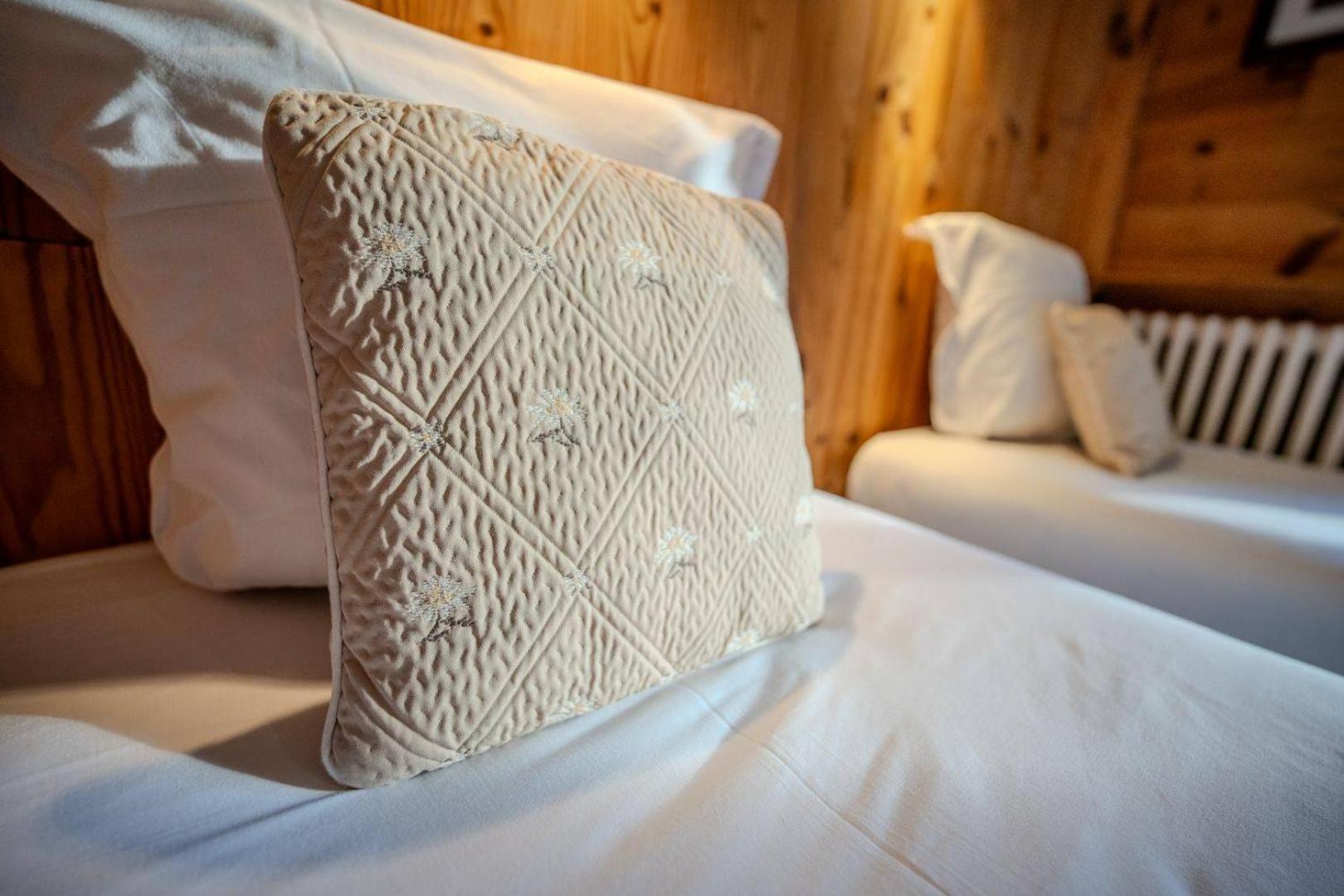 Hotel Du Centre Valloire Eksteriør billede